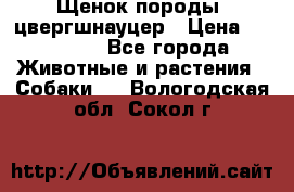 Щенок породы  цвергшнауцер › Цена ­ 30 000 - Все города Животные и растения » Собаки   . Вологодская обл.,Сокол г.
